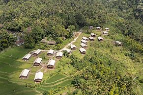Kaura Bali