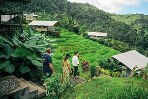 Kaura Bali