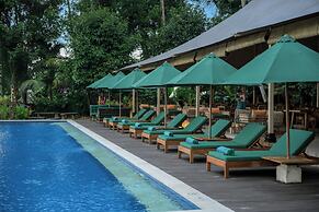 Kaura Bali