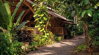 Kaura Bali