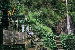 Kaura Bali