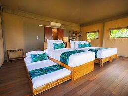 Kaura Bali