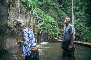 Kaura Bali