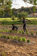 Agroturismo es Mayolet