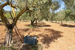 Agroturismo es Mayolet