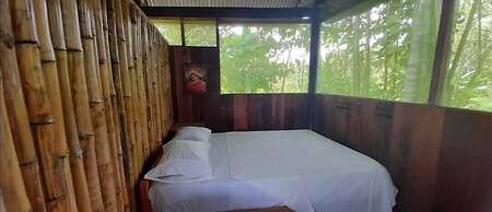 Centro espiritual luz del amazonas