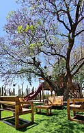 Hacienda Maria Eugenio