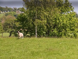 Skirden View