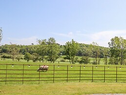 Skirden View