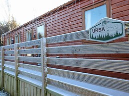 Ursa