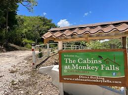The Cabins at Monkey Fall