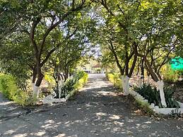 Nirmal Chhaya Nature Resort