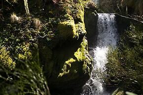 Eco dos Teixos