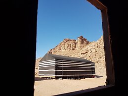 Wadi Rum Oasis