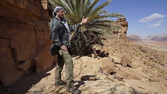 Wadi Rum Oasis