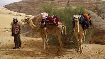 Wadi Rum Oasis