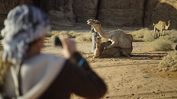 Wadi Rum Oasis