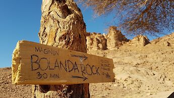 Wadi Rum Oasis