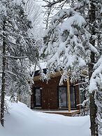 Tanières Microchalets