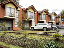 Loft Pucon Apart Hotel