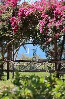 Villa Puolo Sorrento