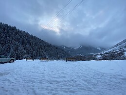 Dinar sky