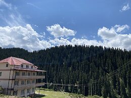 Dinar sky