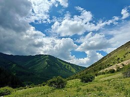 Dinar sky