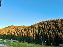 Dinar sky