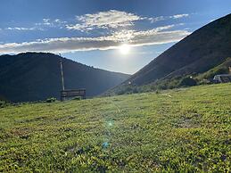 Dinar sky