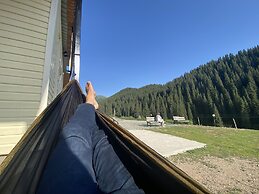 Dinar sky