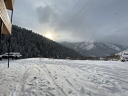 Dinar sky