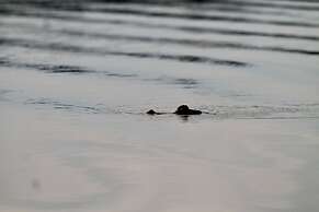 Caiman Eco Lodge