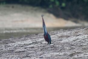 Caiman Eco Lodge