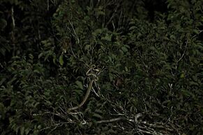 Caiman Eco Lodge
