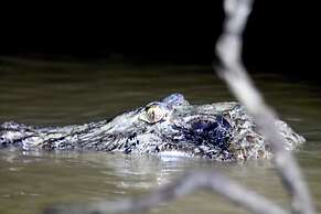 Caiman Eco Lodge