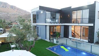 Vila Vilea