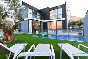Vila Vilea
