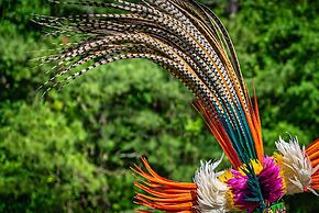 Cuyabeno Lodge