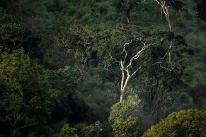 Cuyabeno Lodge
