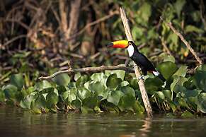 Cuyabeno Lodge