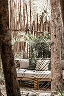 Taio Tulum