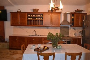 Platanus Gardenhouse