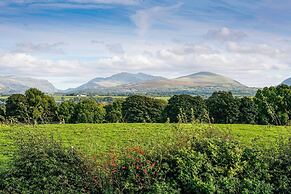Cae Ffynnon