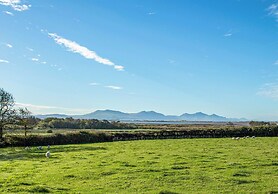 Cae Ffynnon