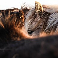 Frei wie der Wind-Glamping