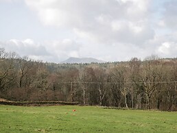 Siabod View