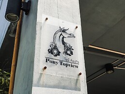 Pony TopView