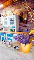Holiday Home Paunovaca