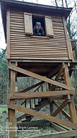Holiday Home Paunovaca